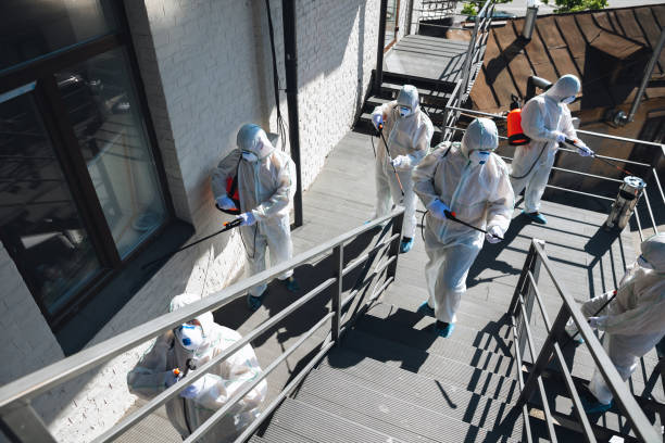 Best Air Quality Testing for Mold Spores  in Vista Santa Rosa, CA