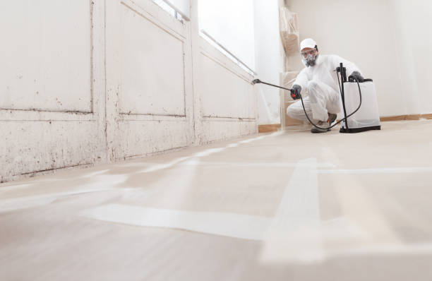Asbestos and Lead Testing During Mold Inspection in Vista Santa Rosa, CA